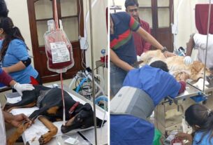 Dog Blood Transfusion