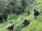 Special Forces