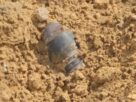 Jaisalmer Bomb Scare