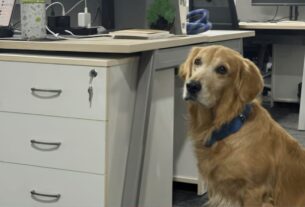Chief Happiness Officer