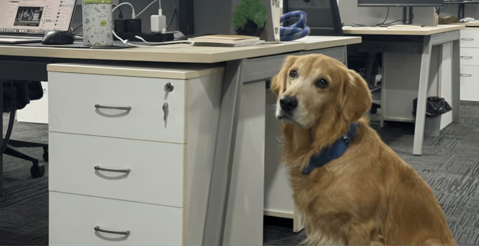 Chief Happiness Officer