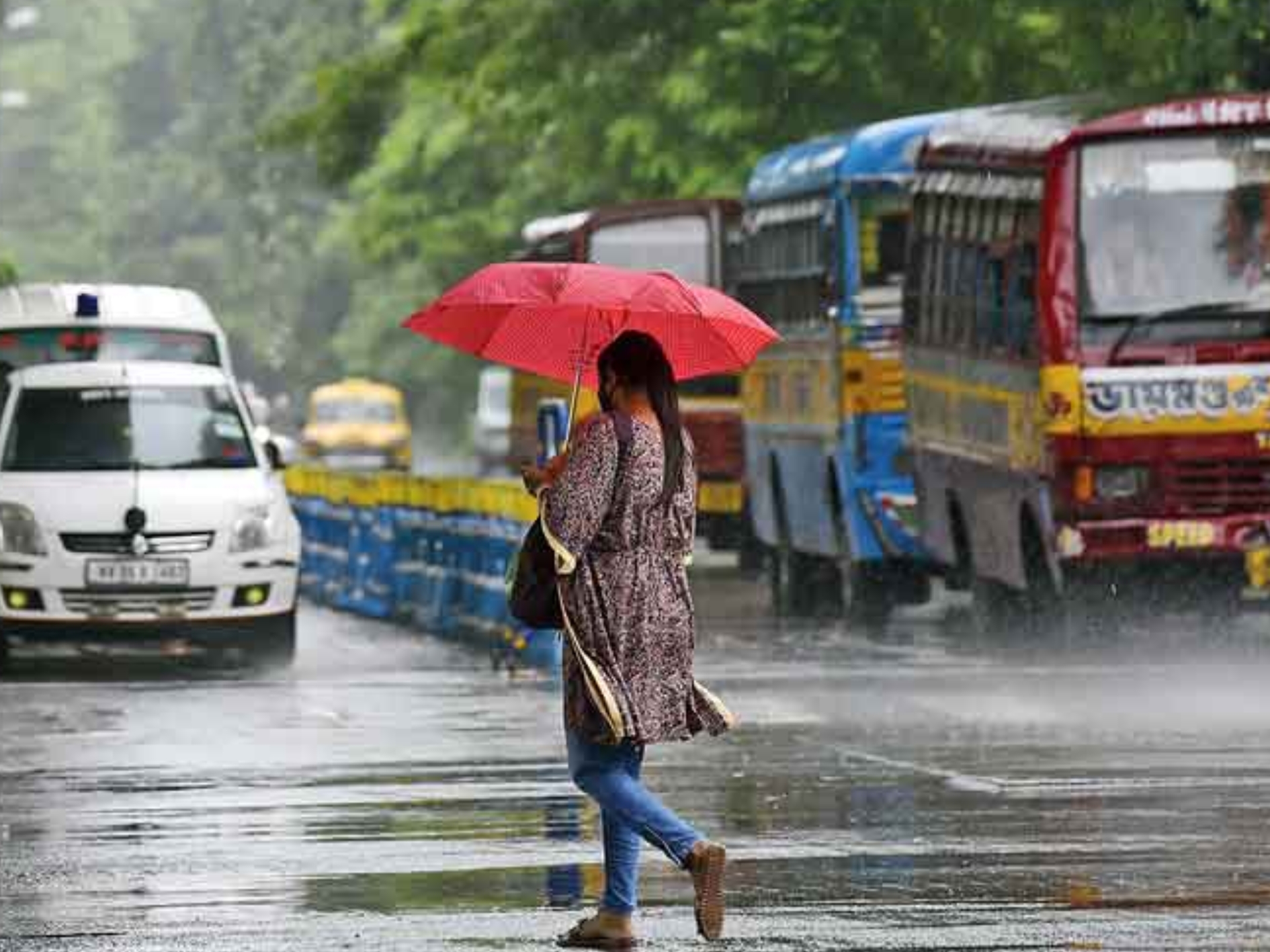 rain