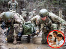 Military Training
