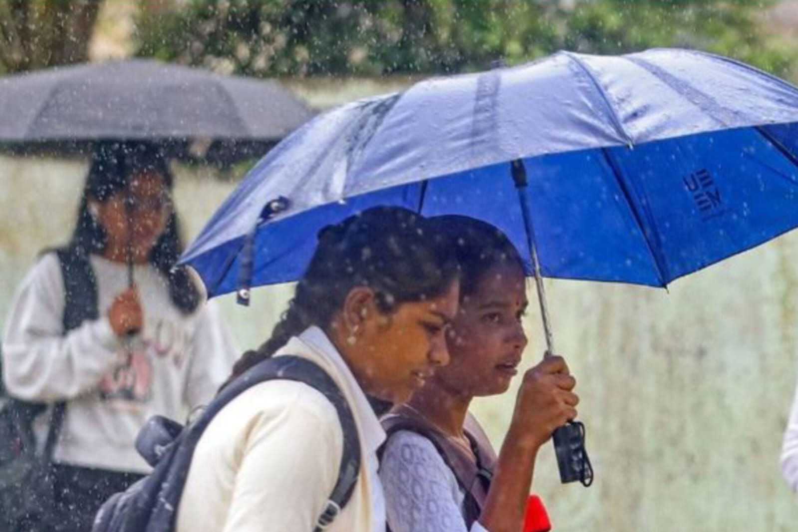 Rain Forecast