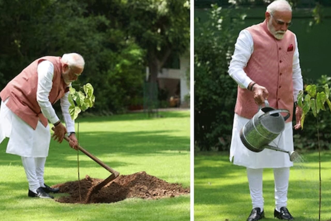 World Environment Day