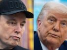 Musk Vs Trump