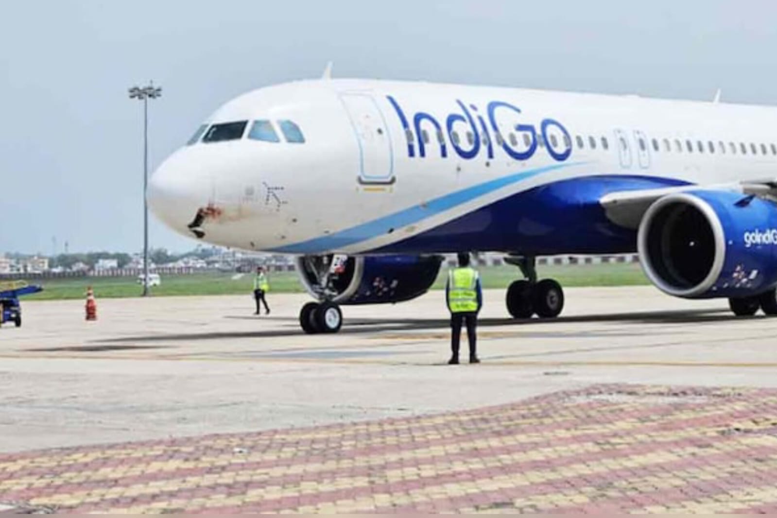 IndiGo Flight