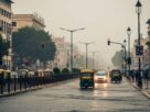 Rainfall Forecast